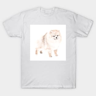 Pomeranian Dog T-Shirt